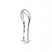 Obstetrical Forceps